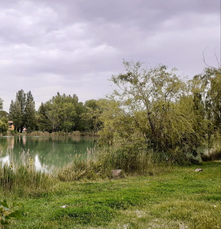 Studio 24 M2 - Hameaux De Camargue - Village 9 - 13200 Arles Exteriör bild